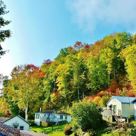 Silver Springs Cottage Resort Harcourt 외부 사진