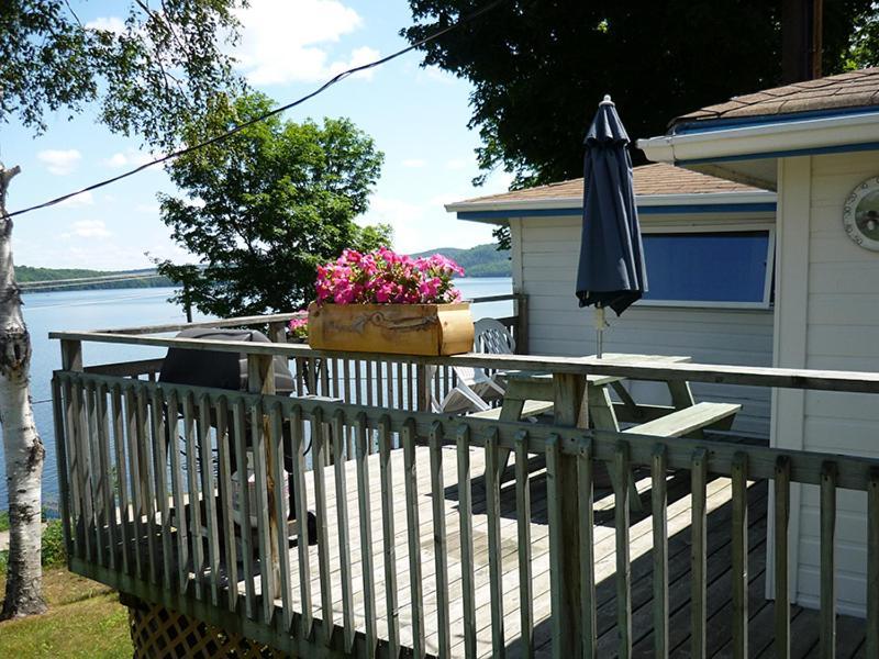 Silver Springs Cottage Resort Harcourt 외부 사진