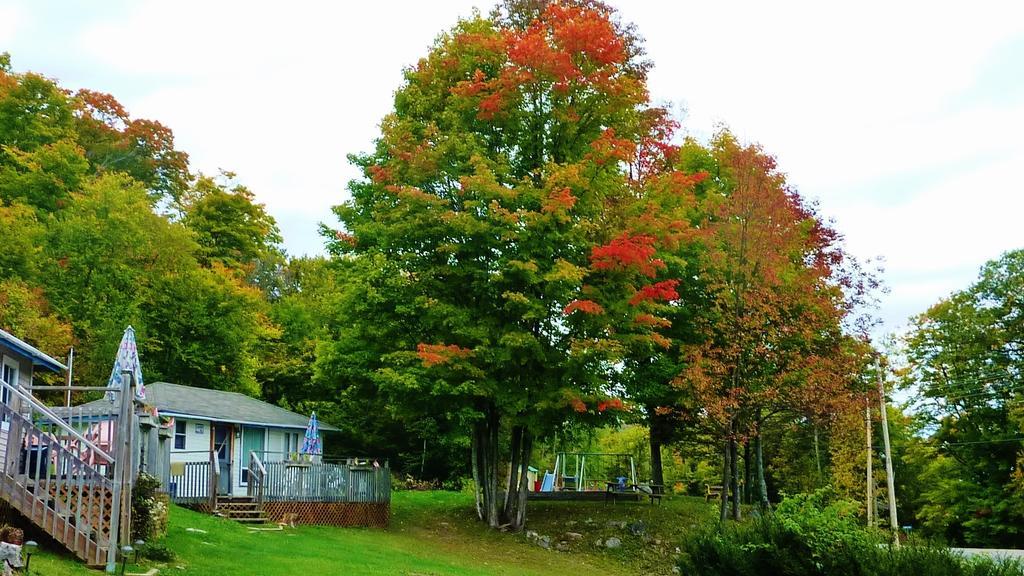 Silver Springs Cottage Resort Harcourt 외부 사진